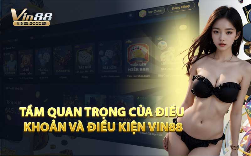 Tầm Quan Trọng Của Điều Khoản và Điều Kiện VIN88